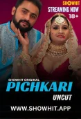 Pichkari 2024 Showhit Short Film Download