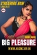 Big Pleasure 2025 NeonX Hindi Short Film Download