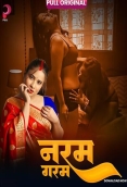 Naram Garam (2025) Pullapp S01 E01-04 Web Series