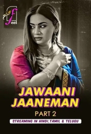 Jawaani Jaaneman (2025) Feel S01 Part 2 Web Series (2025)