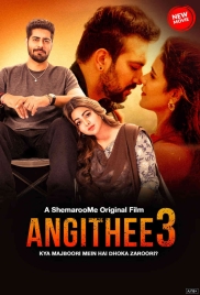 Angithee 3 (2024) Hindi Movie (2024)